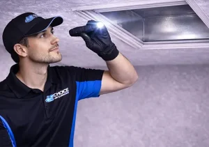 Step 3: Final Check Process